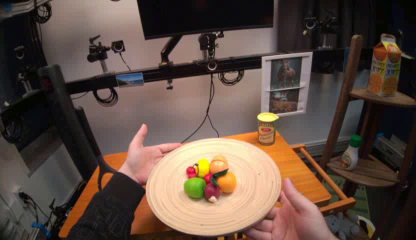 Initial observation of hands holding a plate